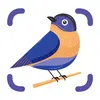 BirdSnap icon