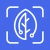 BiteRight icon