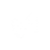 Farfalle icon