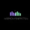 HarmonySnippetsAI icon