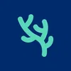 Korl icon