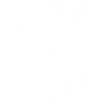 Perplexity icon