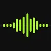 VoiceRec icon
